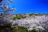 花立公園