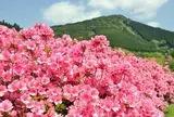 椎八重公園