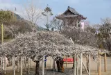 本東寺