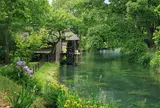 大王わさび農場