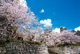 舞鶴公園