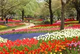 国営昭和記念公園