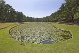 阿波岐原のみそぎ池