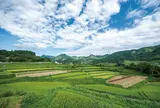 栃又の棚田