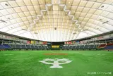 東京ドーム