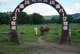 川湯パーク牧場