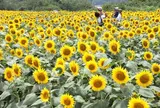 成田ゆめ牧場
