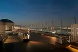羽田空港国際ターミル 展望デッキ