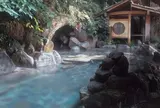 天山湯治郷