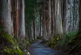 戸隠神社