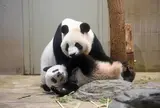 上野動物園