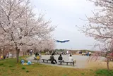 さくらの山公園