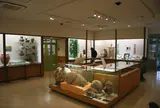 尼崎市立田能資料館
