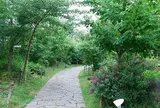 花野～新梅田シティの里山～