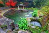 本宮の泉