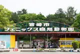 宮崎市フェニックス自然動物園