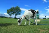 長門牧場