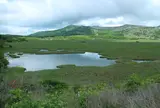 八島ヶ原湿原