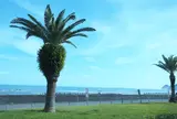 用宗緑地