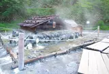 湯ノ平湿原