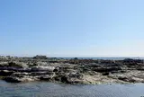 江見太夫崎