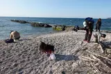 たてやま・海辺の鑑定団