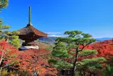 常寂光寺