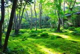祇王寺