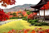 大河内山荘