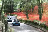皇子原公園