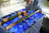 柳谷観音(楊谷寺）