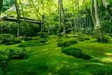 西芳寺