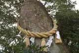 猪群山