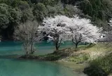 さくらの里公園