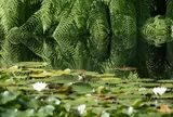 弥生の森歴史公園