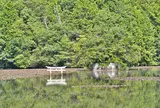 〒528-0035 滋賀県甲賀市水口町名坂