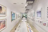 Aquabumps