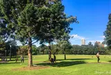 The Domain
