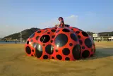 赤かぼちゃ