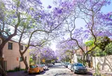McDougall Street