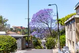 Winslow Lane Road Reserve