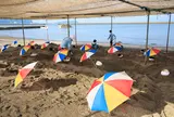 砂むし会館 砂楽 