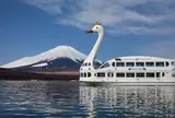 山中湖の白鳥の湖