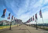 Pyrmont Bridge