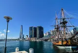 Pyrmont Bay ferry wharf