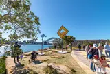 Barangaroo Reserve