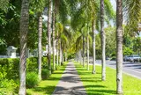 Port Douglas