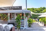 Choo Choos at the Marina