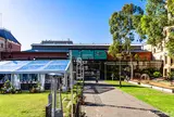 South Australian Museum