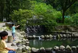 細流